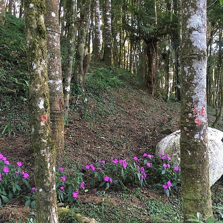 Chales Vila Flor Goncalves Ngoại thất bức ảnh